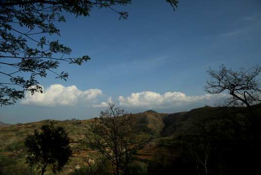 田野風(fēng)景