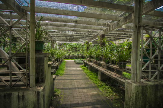 華南植物園