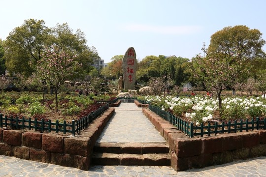牡丹園風(fēng)景
