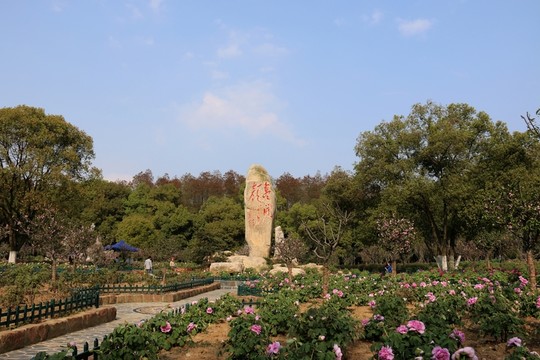 牡丹園風(fēng)景