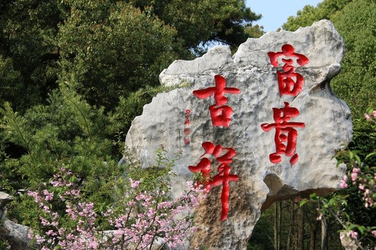 牡丹園風(fēng)景