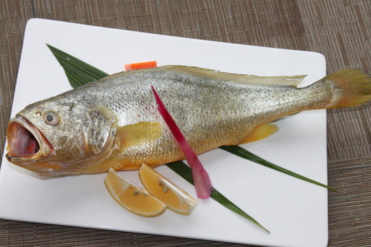 鱈魚