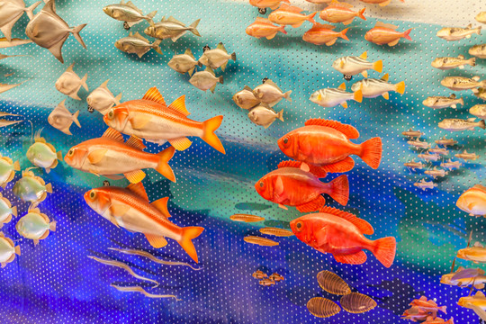 海底世界