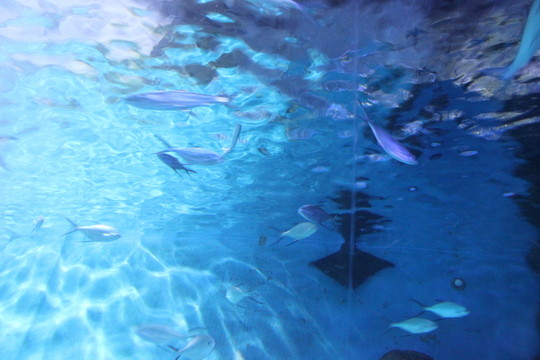 海底世界