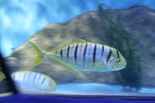 海底世界