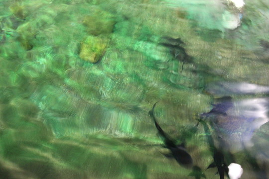 海底世界