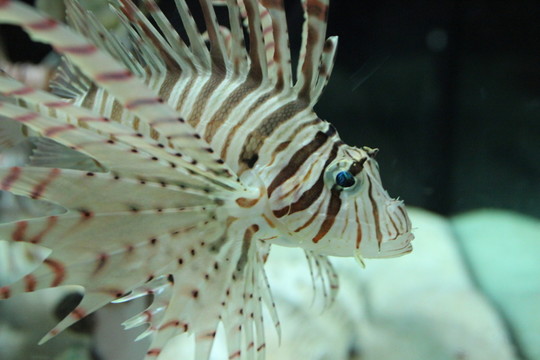 海底世界