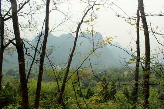 桂林山水