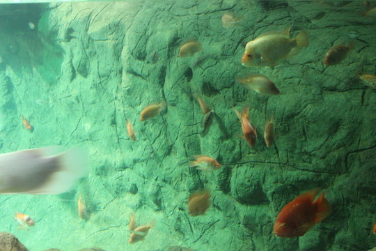 海底世界