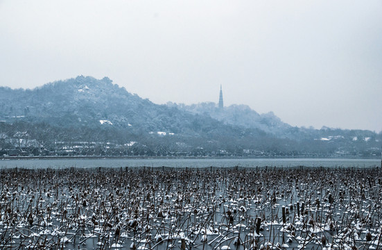 杭州西湖雪景