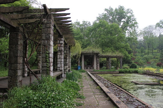 植物園