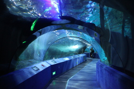 海底世界