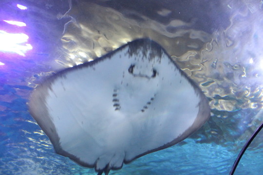 海底世界