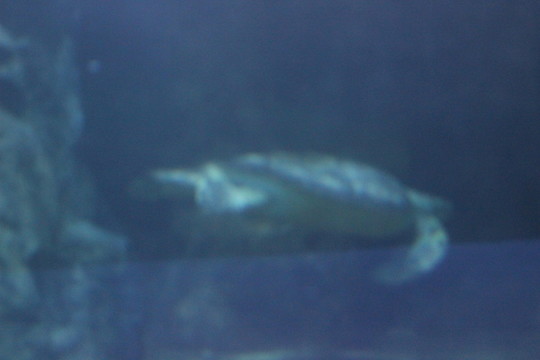 海底世界