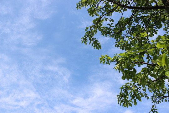 藍(lán)色的天空