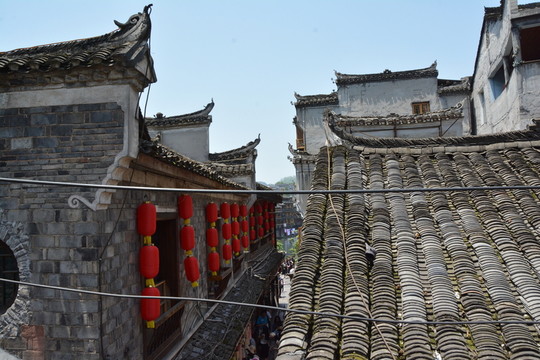 鳳凰