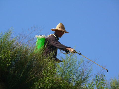 農(nóng)民田間噴農(nóng)藥