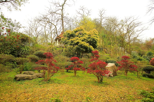 七星公園