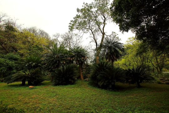 七星公園