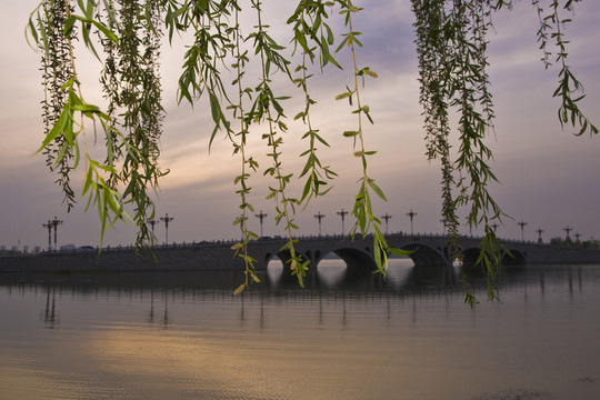 聊城風(fēng)光