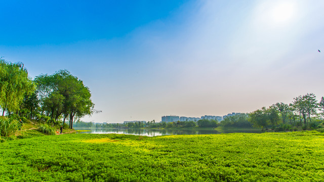 雙流濕地公園