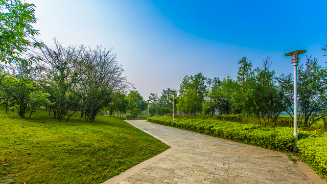 雙流濕地公園