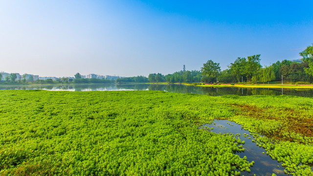 雙流濕地公園