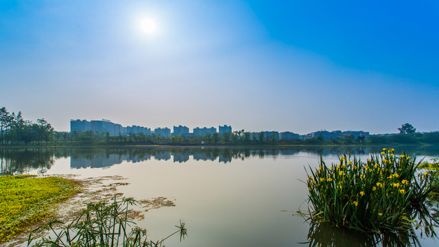 雙流濕地公園