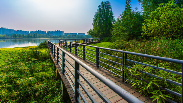雙流濕地公園