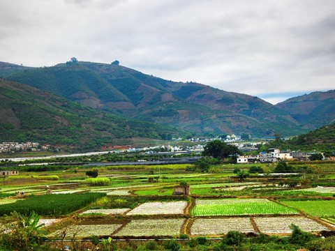 田園風(fēng)光