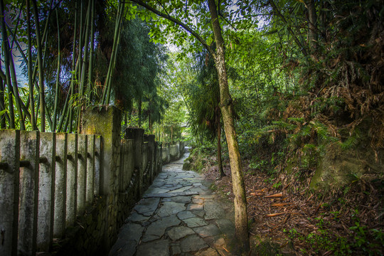 山路