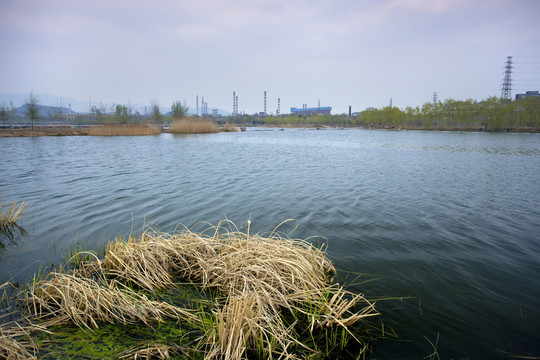 河