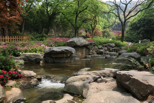 磨山風景