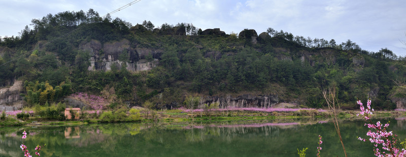 山巒 綠樹
