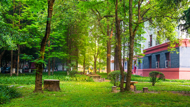 青青校園
