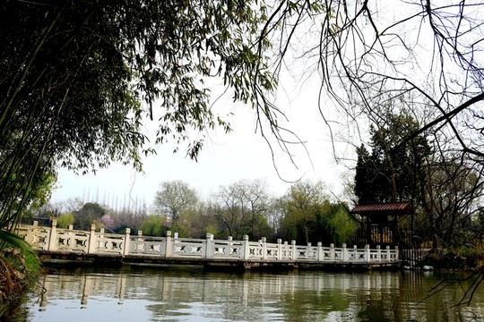 瘦西湖風(fēng)光