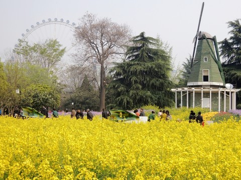 風(fēng)車 建筑 公園 觀光 休閑