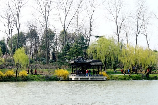 瘦西湖風(fēng)光