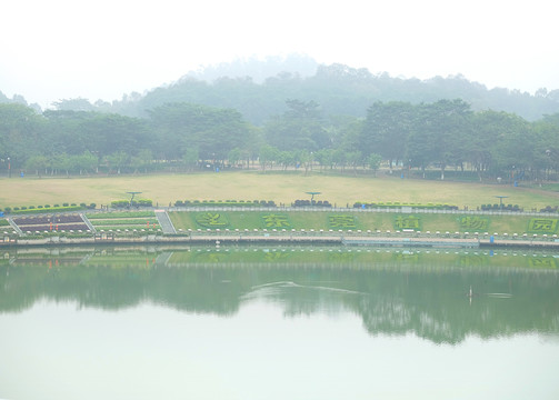 晨霧下的東莞植物園