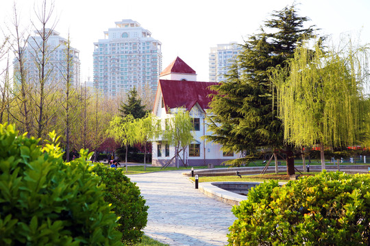 公園一角