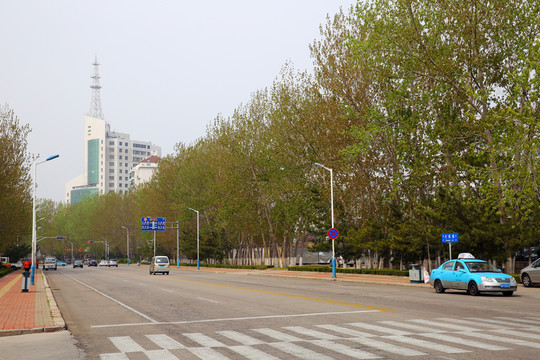 城市道路