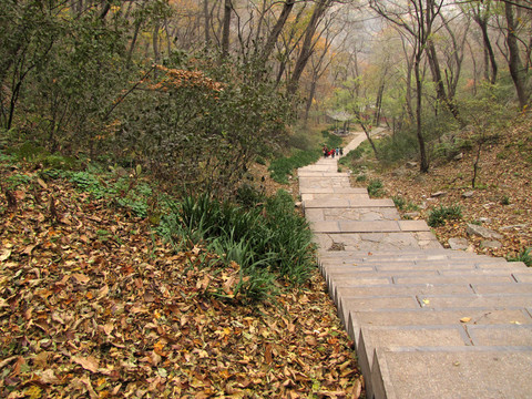 瑯琊山登頂山路 山谷石階路