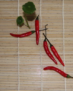 辣椒 竹簡(jiǎn)