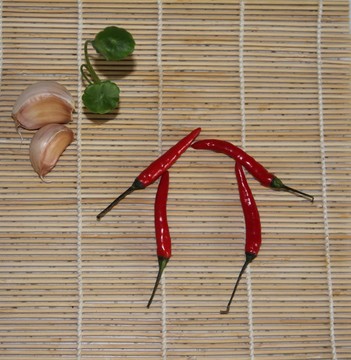 辣椒 大蒜 抽象屋子造型
