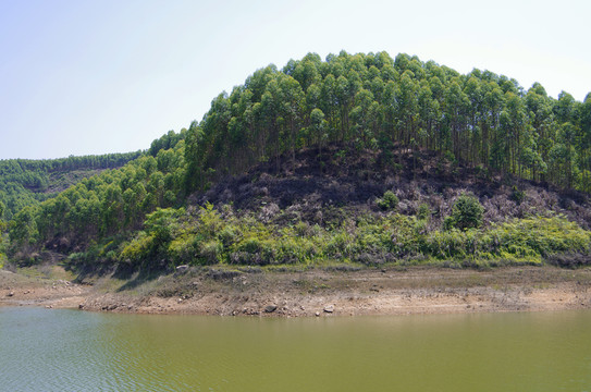 樹林 水庫