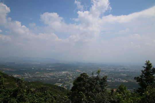 山景