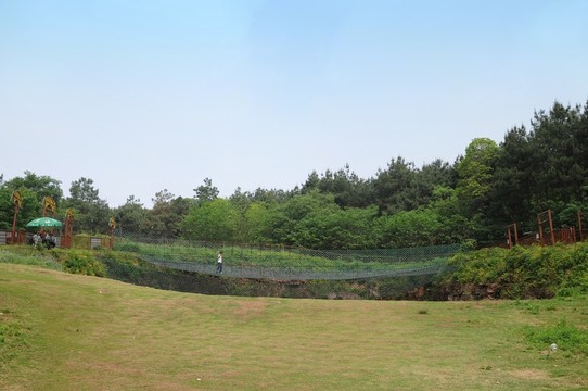 春天 綠色