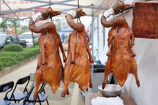 烤鵝 鵝肉 燒鵝 美味 美食