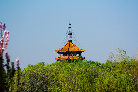 樹(shù)木掩映的寶塔