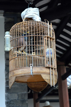 鳥籠